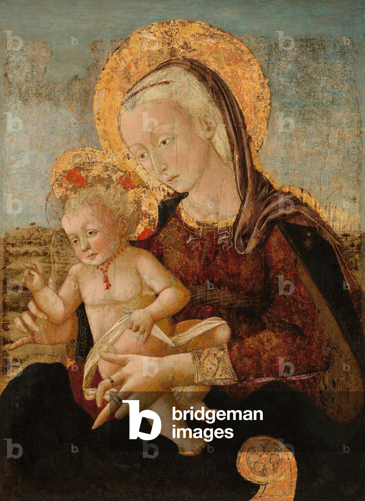 Madonna con Bambino, 1475 circa (tempera su tavola trasferita su tela)