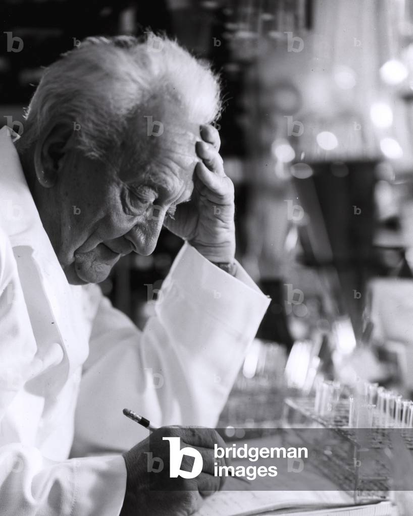 "Albert Szent-Gyorgyi"