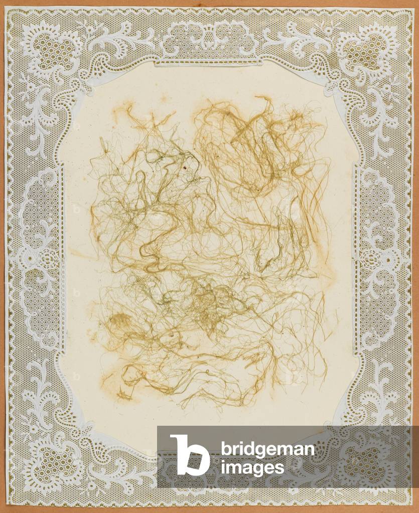 Alghe, 1848 (carta da costruzione, alghe, alghe, centrini)