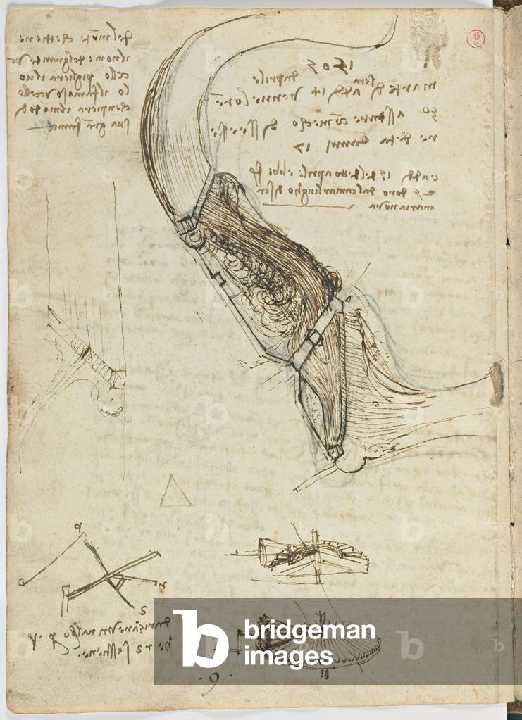 "Vögel Flight Code" 1505 von Leonardo da Vinci, b/w