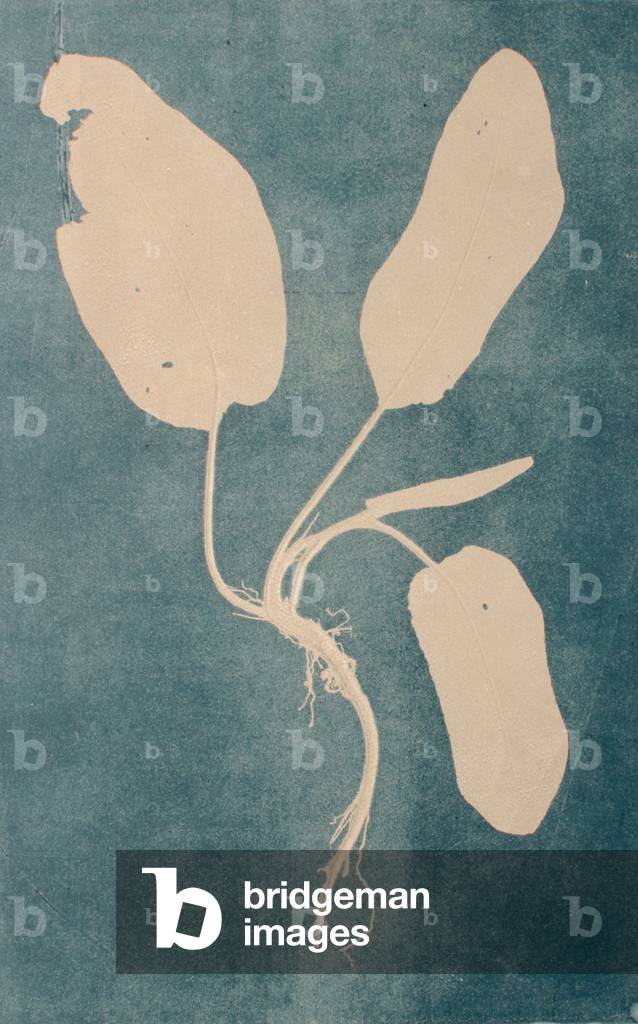 "Big Dock" 2019 von Caroline Younger