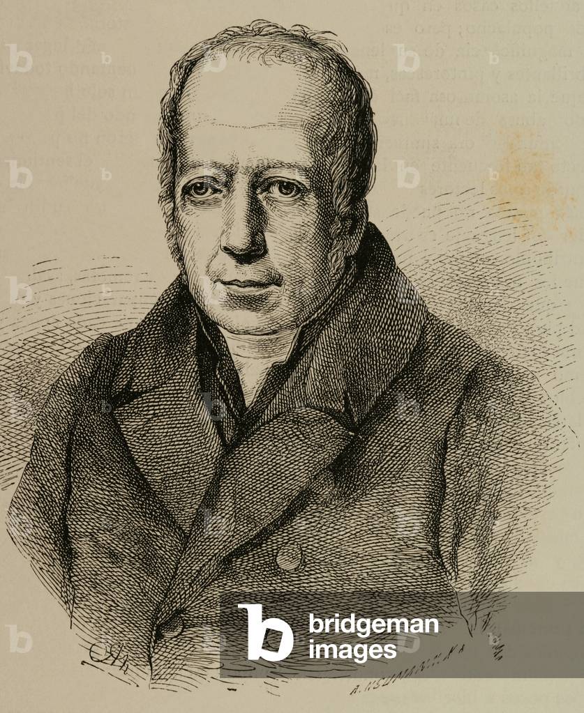 Alexander von Humboldt (1769-1859). Incisione.