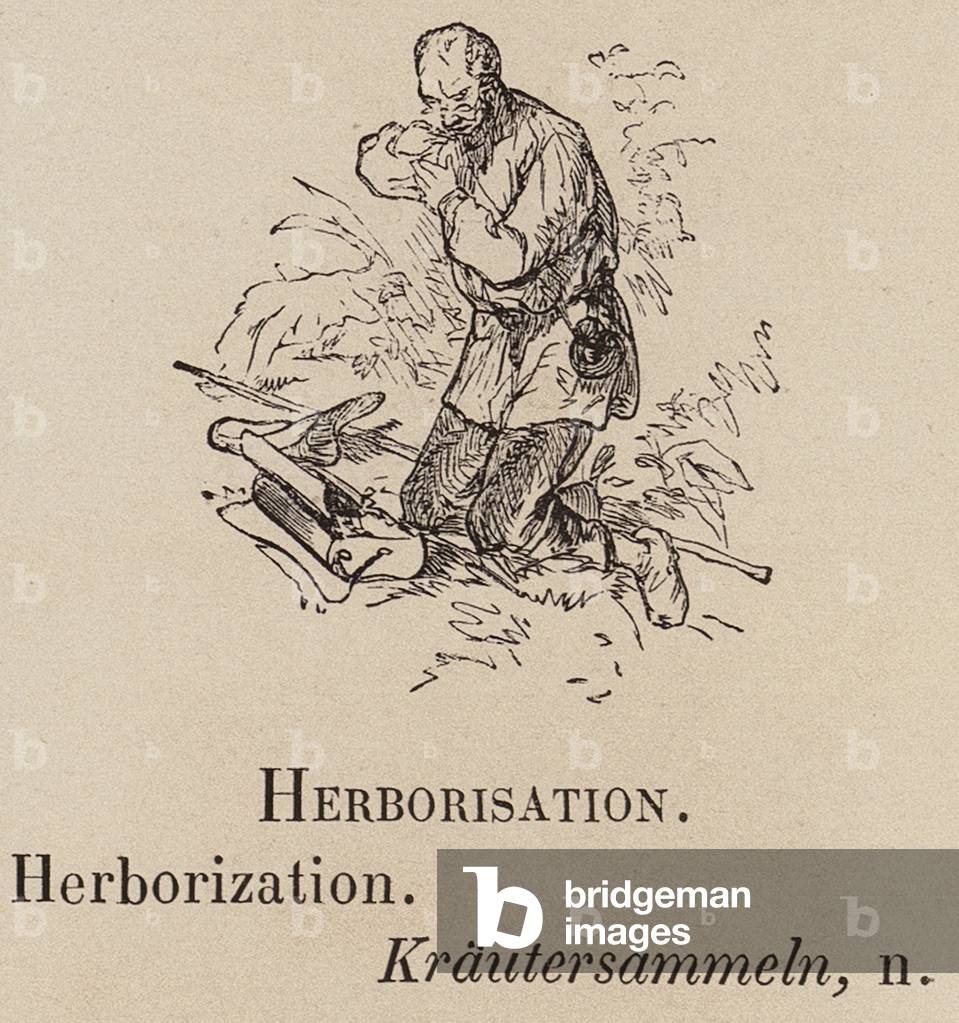 "Le Vocabulaire Illustre: Herborisierung; Herboriisierung; Krautersammeln (Gravur)" 1873 von European School