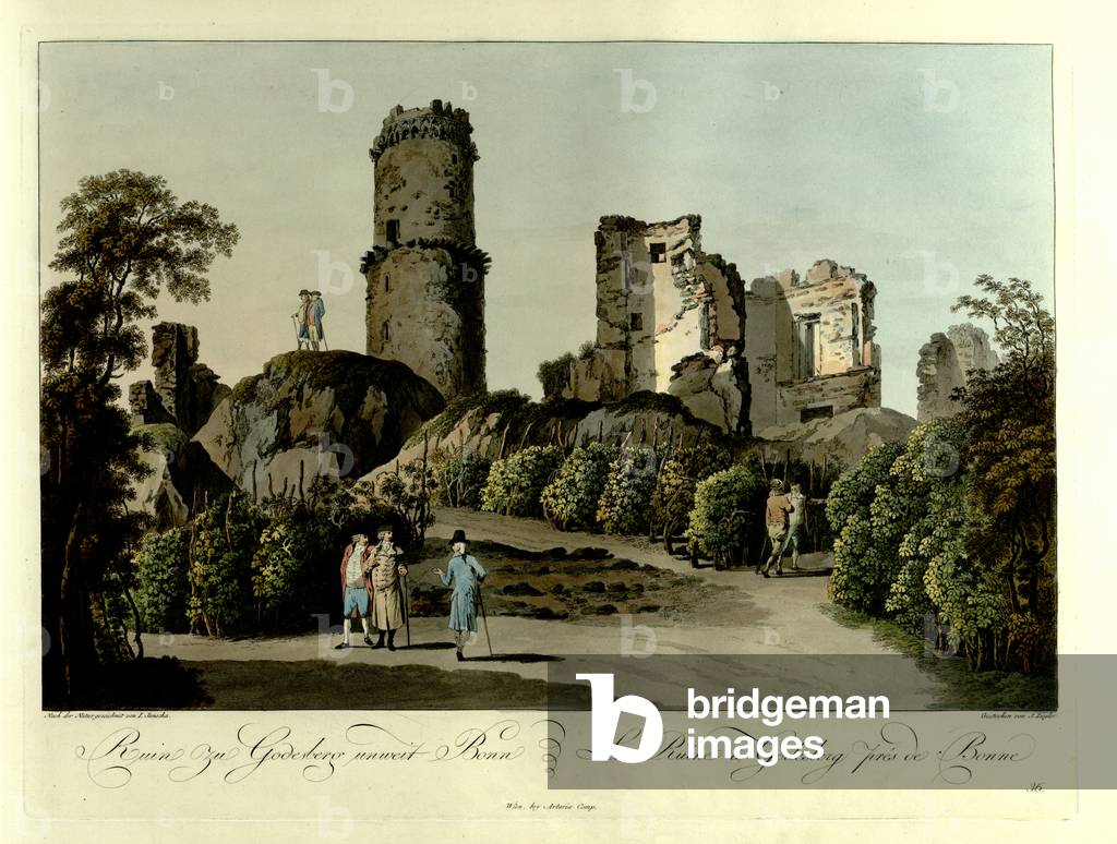 "Sette uomini camminano tra i vigneti che crescono nelle rovine di Godesburg"