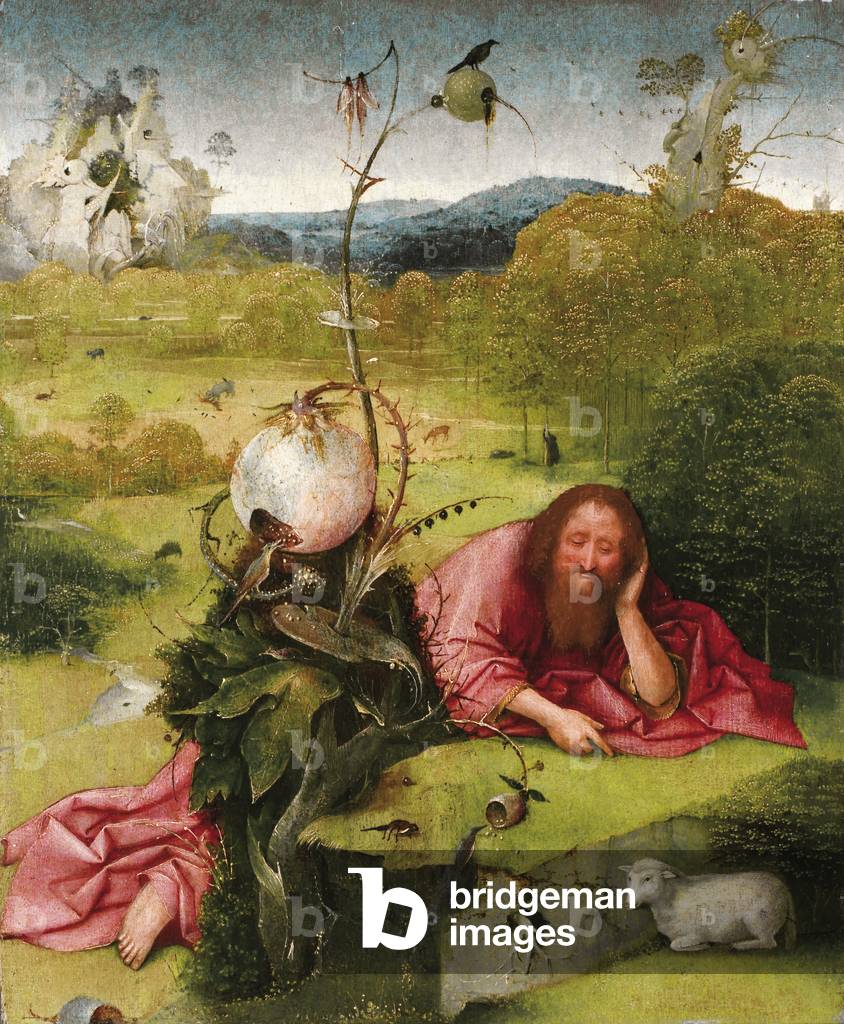 Meditazioni di San Giovanni Battista, 1485-1510 (olio su tela)