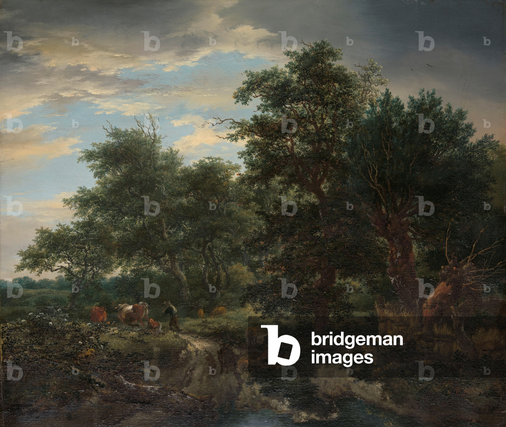 Image de Peinture représentant Scène de forêt 1653 par Jacob Isaakszoon van Ruysdael
