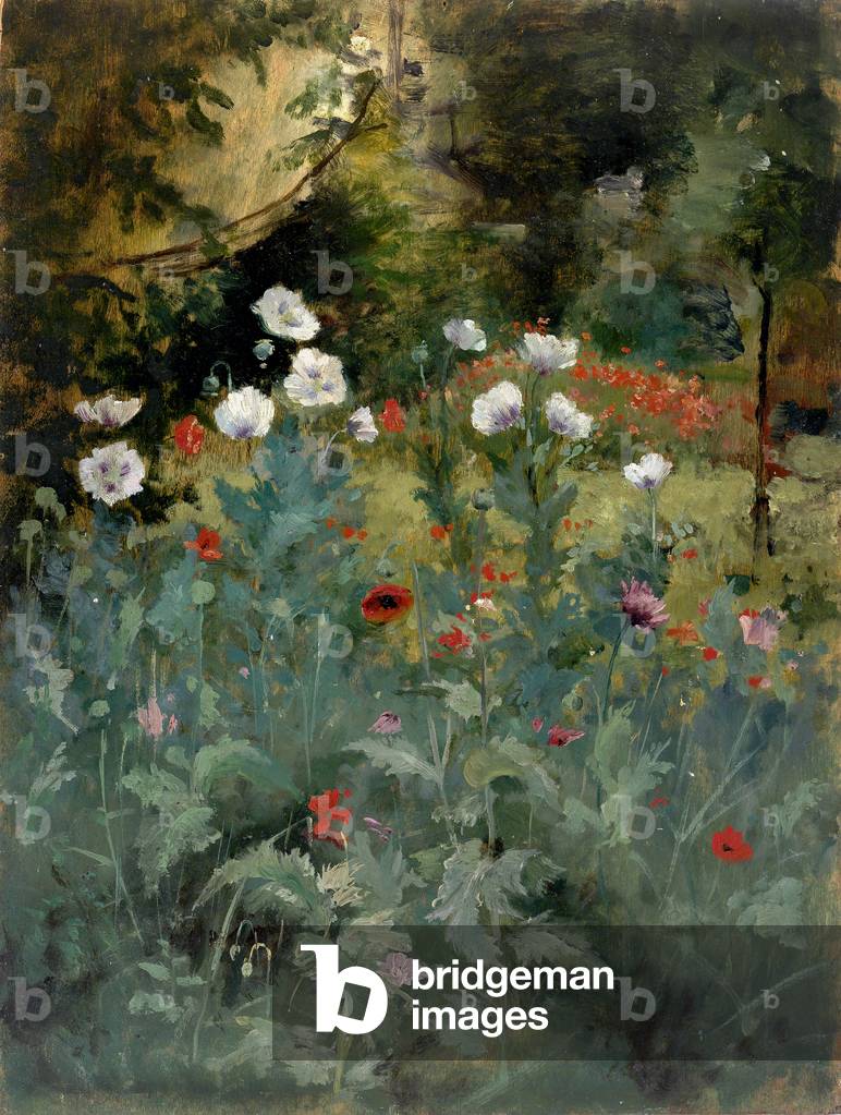 Mohnblumen (Öl auf Leinwand)