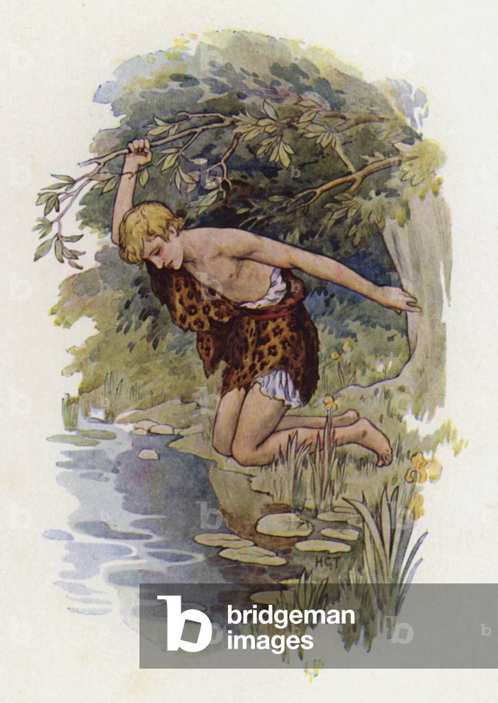 Narciso (colore lito)