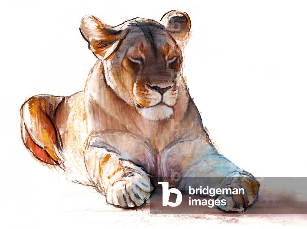 

Il Yogi Lioness, 2019, (conté e pastel su carta)