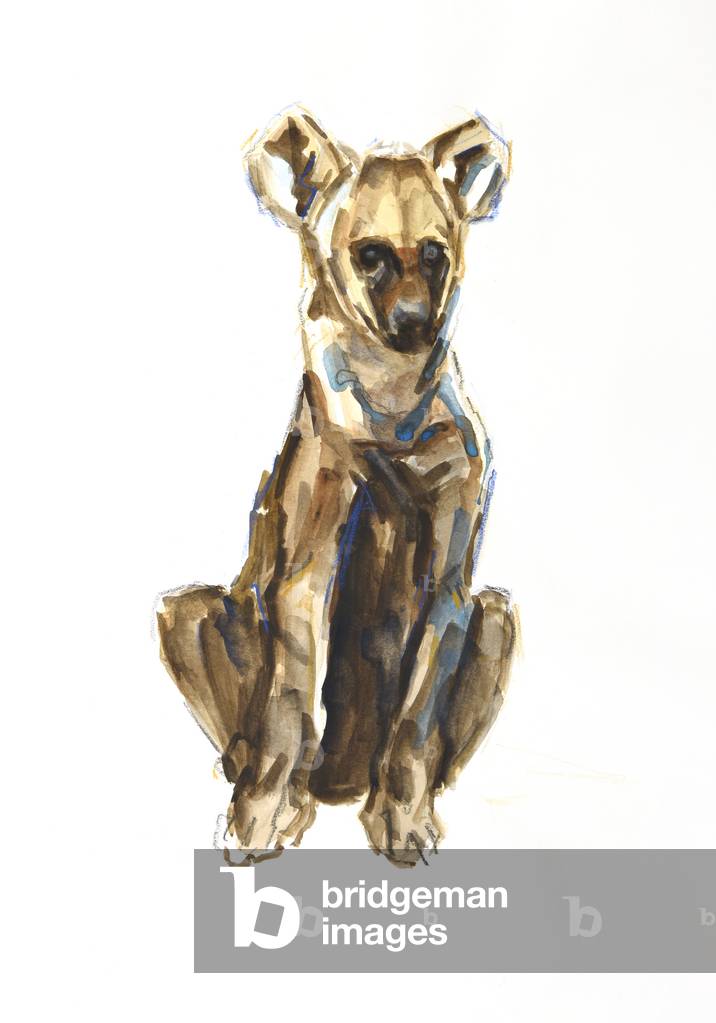 Hyena pup, 2020 (acquerello, pastello e gouache su carta)