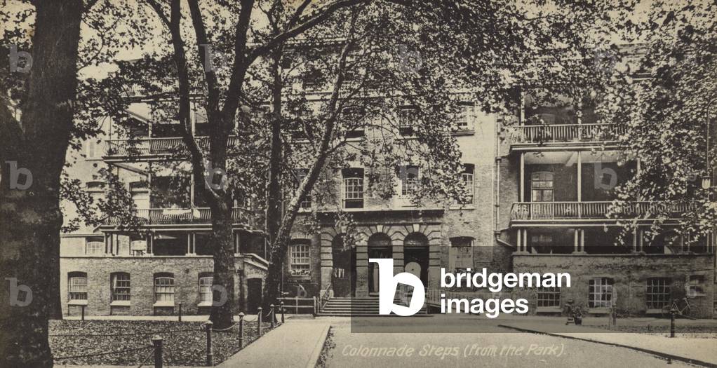 Image de Photographie représentant Colonnade Steps par English photographer, b/w