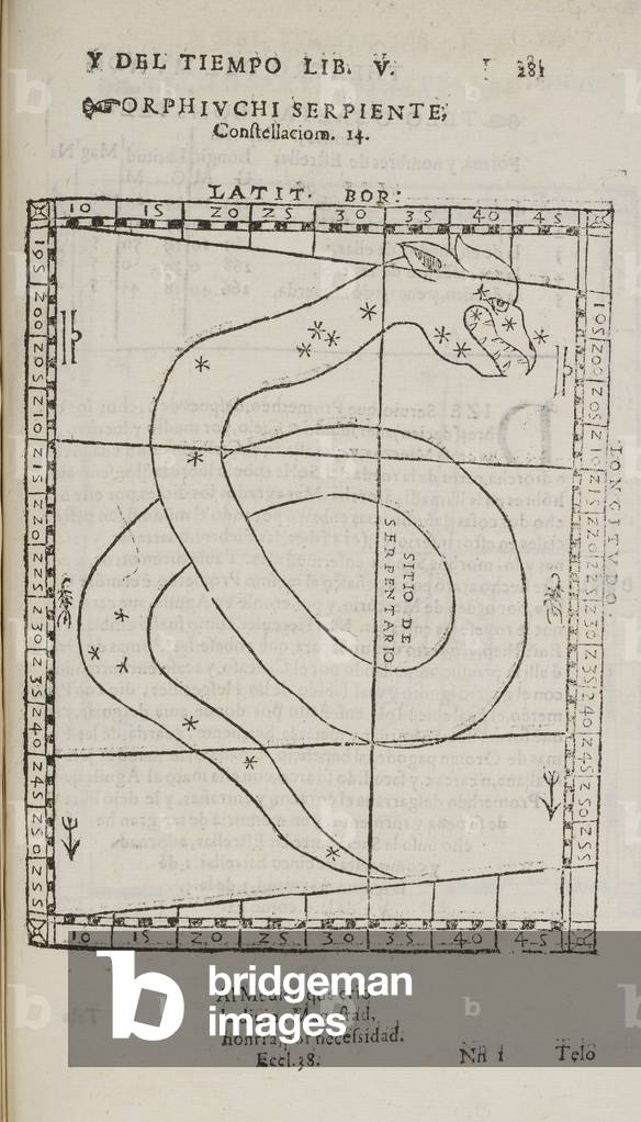 Orphiuchi serpiente. A snake. An illustration of a star constellation from a 17th astronomy record.