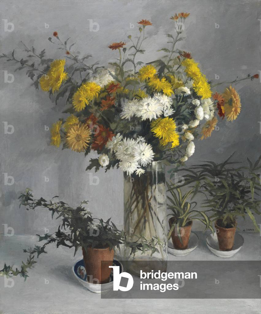 Image of Painting depicting Chrysanthemums (oil on canvas) by Gordon Davies