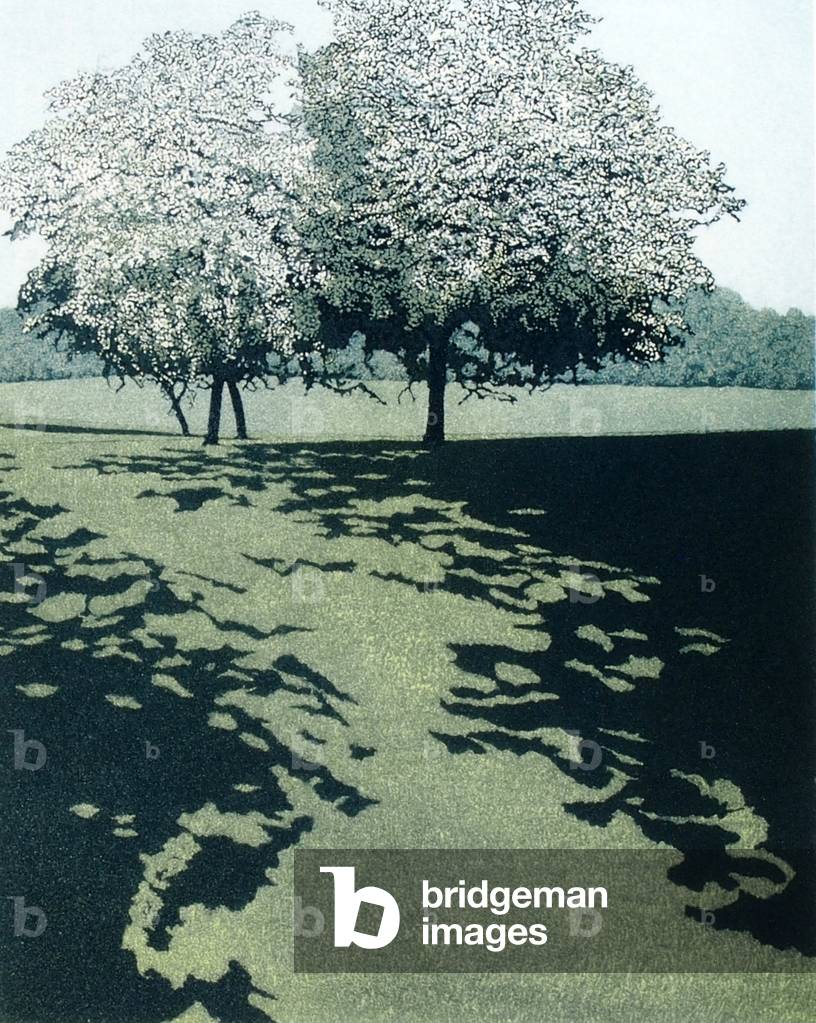 Immagine di Incisione "Dawn Shade" 1977 di Phil Greenwood
