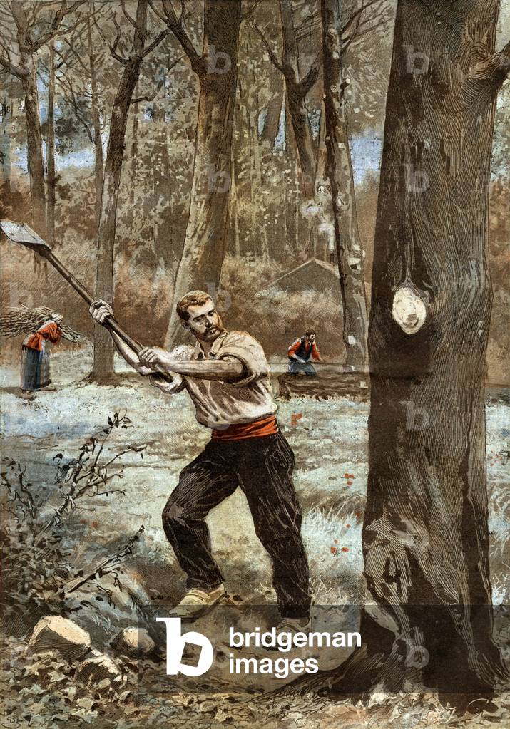 "Il boscaiolo" 1897