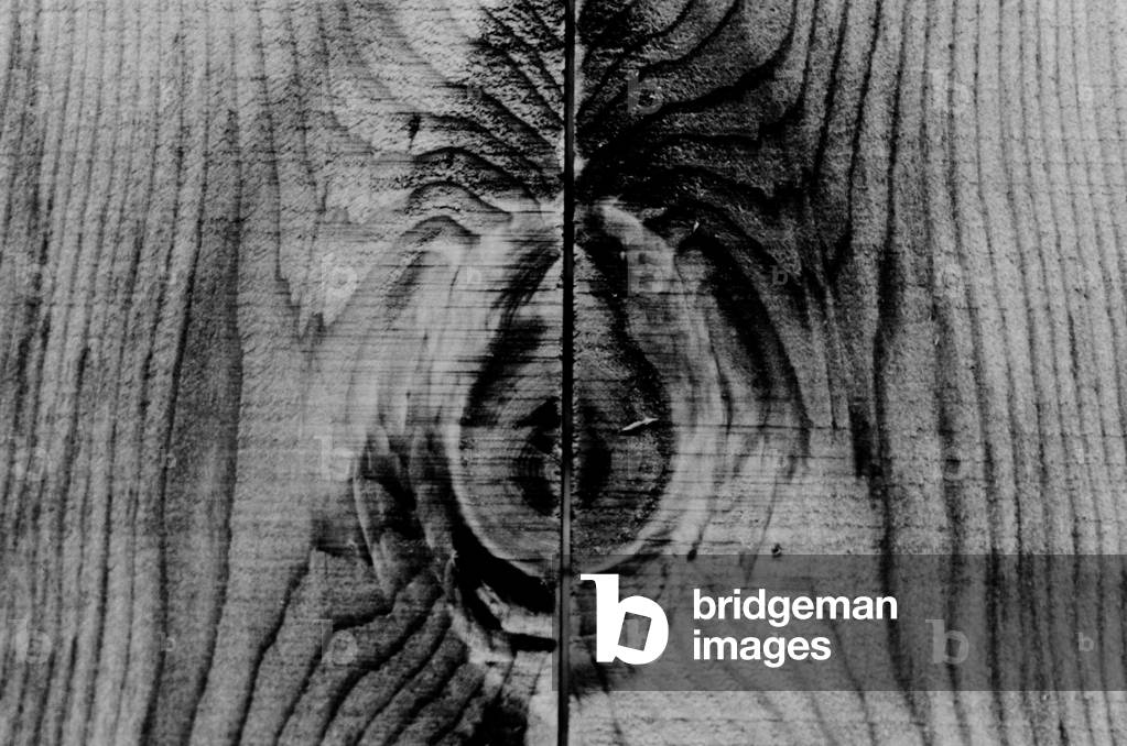 Charades 1 12 (s/w Foto)