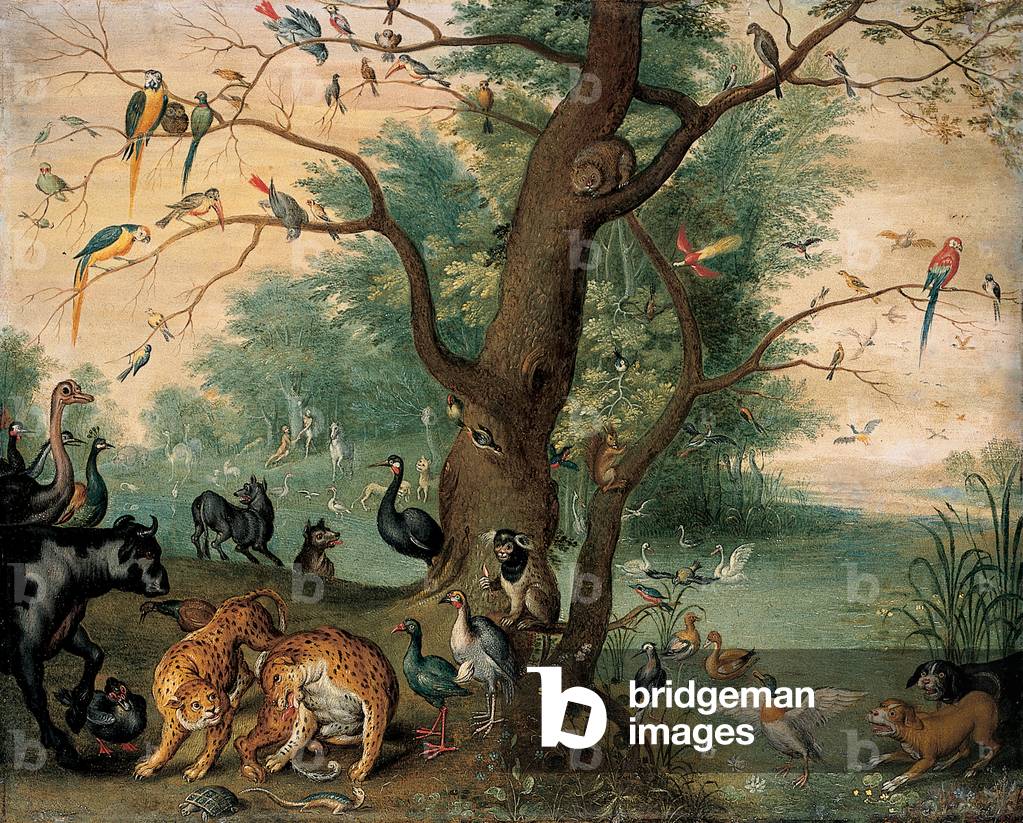 Tiere und Vögel im Garten Eden (Öl auf Kupfer)