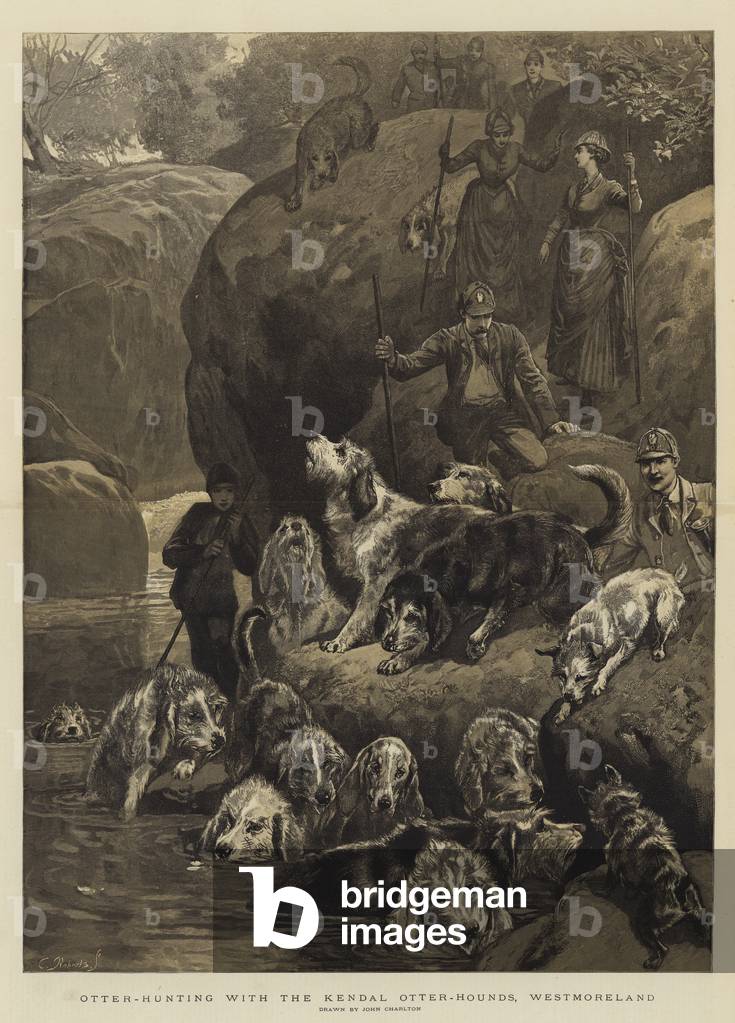 Otter-Hunting with the Kendal Otter-Hounds by John Charlton, b/w