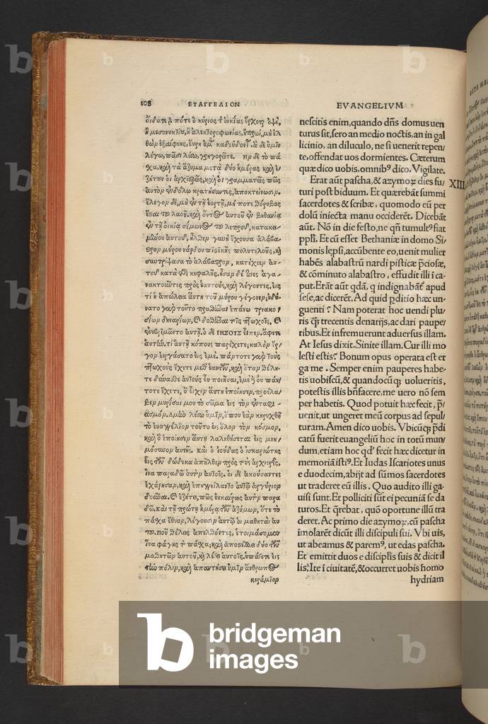 Immagine di Stampa "Nouum Instrumentuē omne" 1516 di Johann Froben