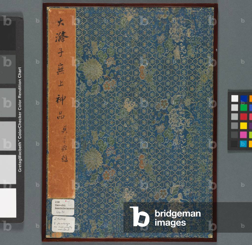 Immagine di Disegno "Reminiscenze del fiume Qinhuai" di Daoji Shitao