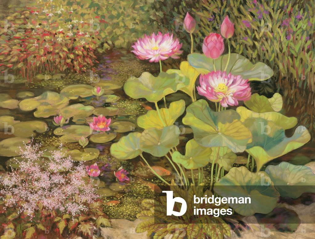 Water Lilie's and Pink Flowers