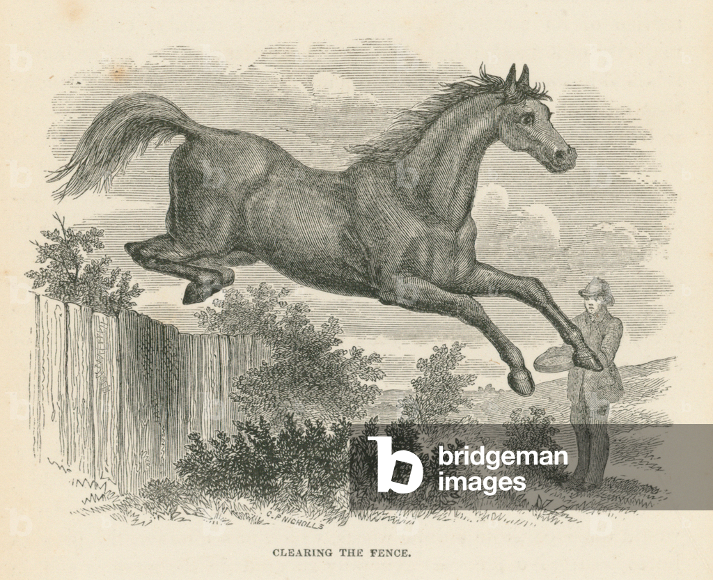 Immagine di Incisione "Liberare il recinto (incisione)" 1801 di English School