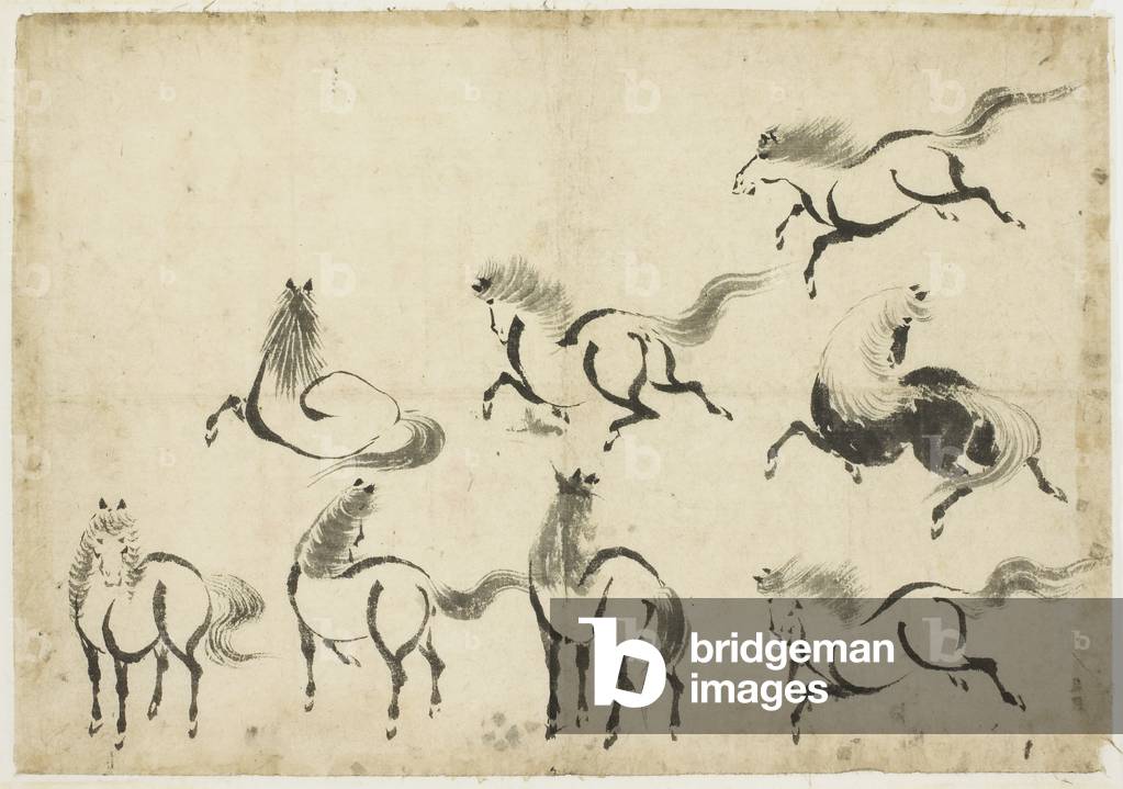 Studies of Horses, um 1815-1849 (Tinte auf Papier)