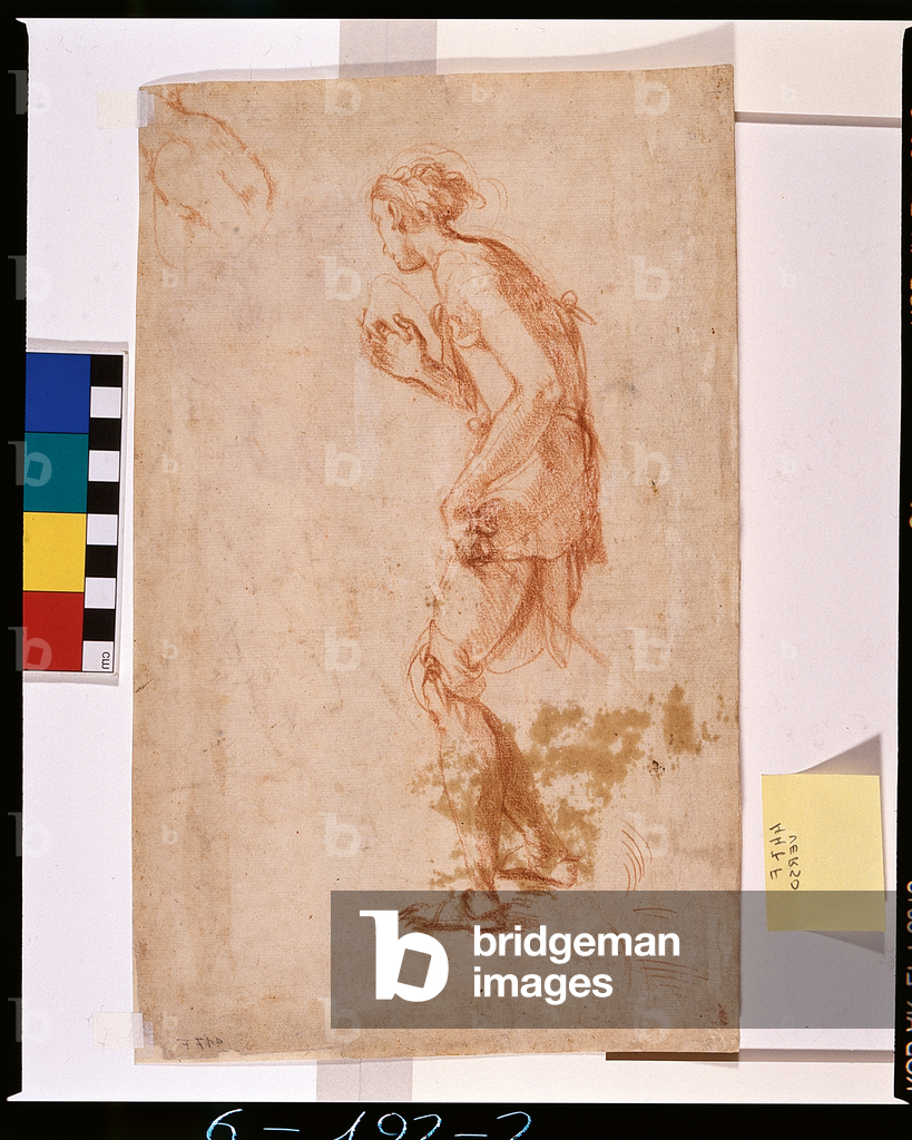 Figure studies, recto (drawing)