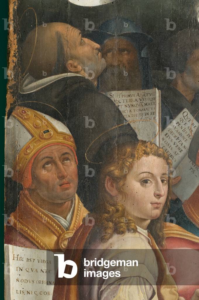 Immacolata concezione (particolare), c.1562-1565 (olio su tavola)