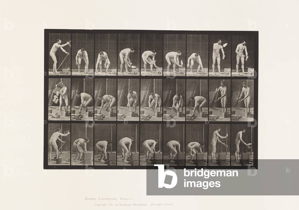 Teller 505. Mauerwerk, 1872-85 (Kollotyp auf Papier)