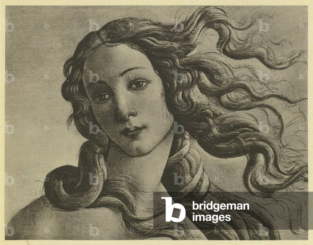 Image of Botticelli: Venus Anadyomene, Detail (b/w photo) by Botticelli ...