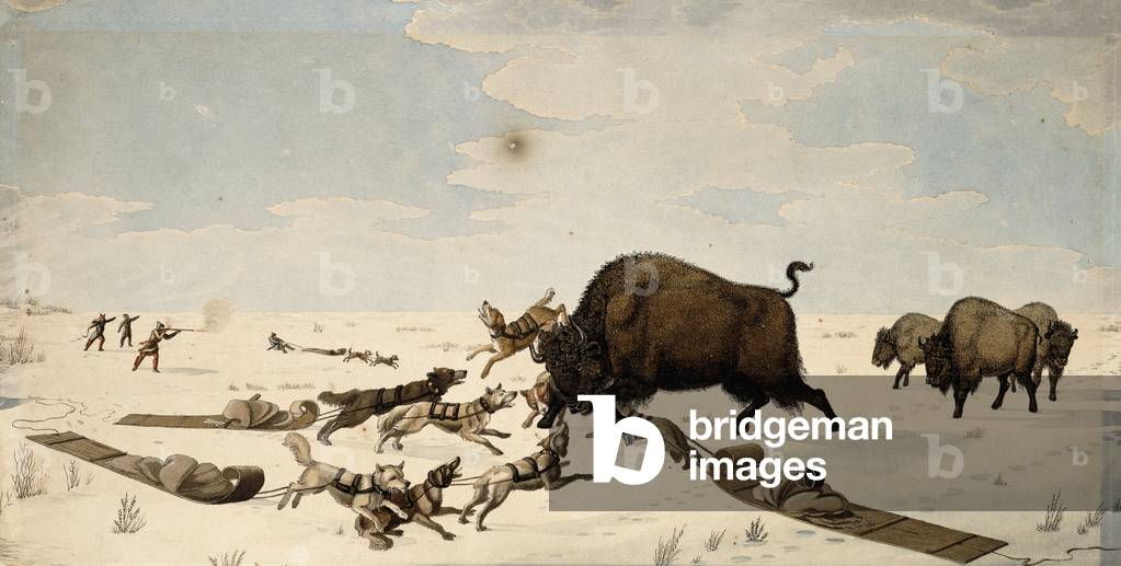 Buffalo Hunt, um 1822-1824 (Stift und schwarze Tinte und Aquarell auf Papier)