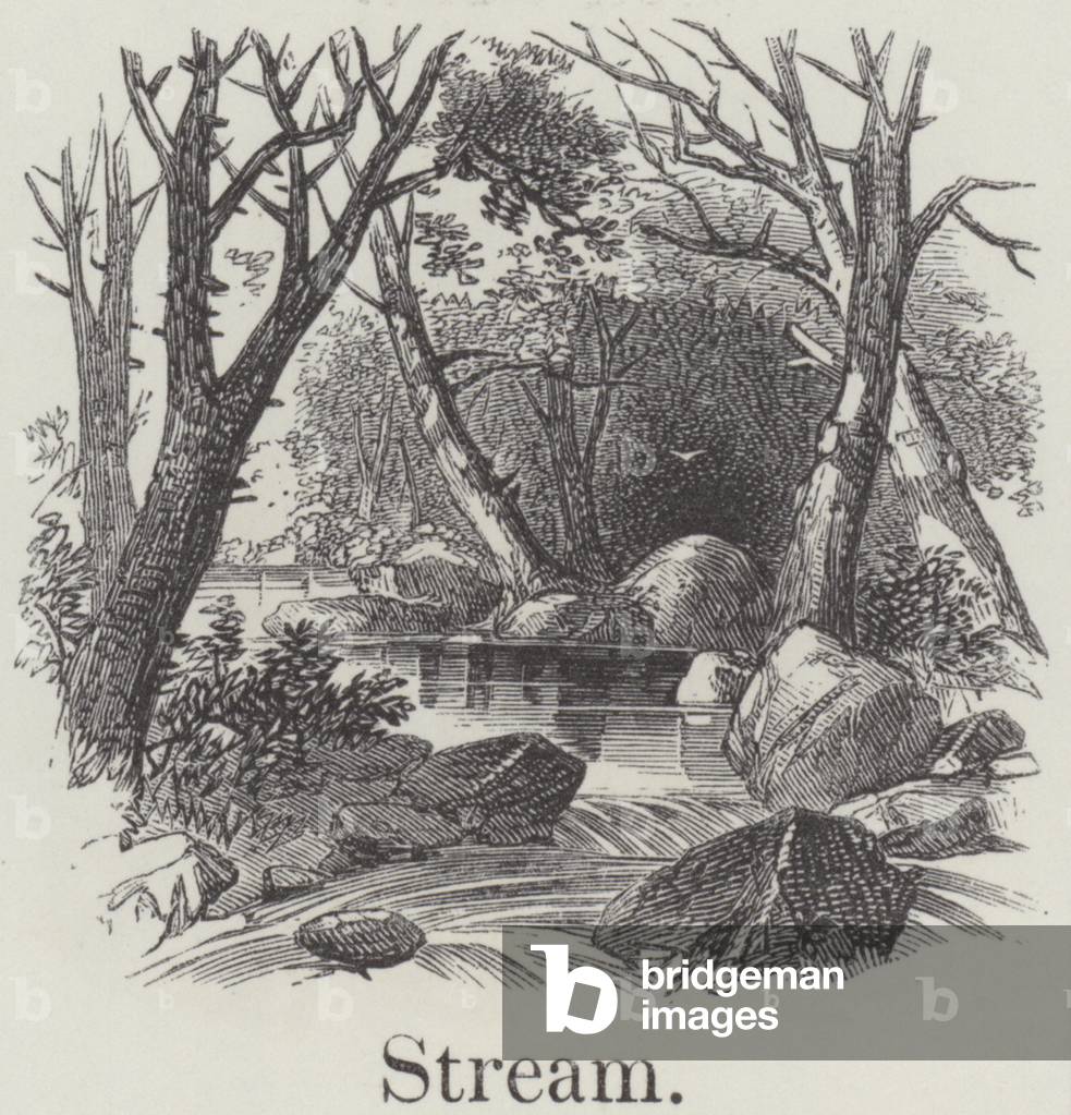 "Stream (incisione)" di English School