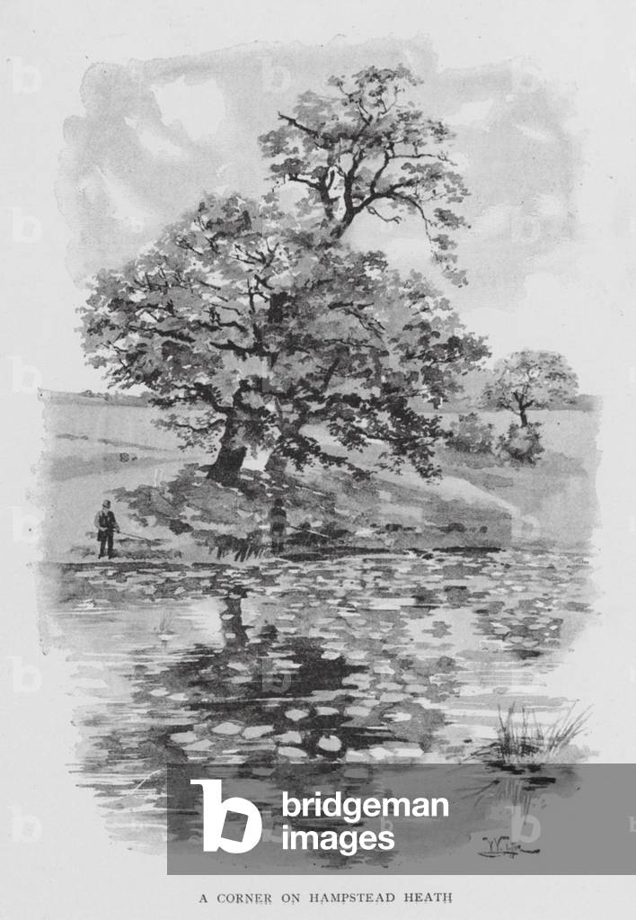 Immagine di Stampa "Un angolo su Hampstead Heath (lito)" 1801 di William Luker