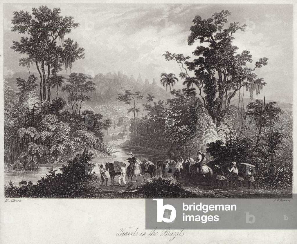 Voyages au Brésil (gravure) par English School