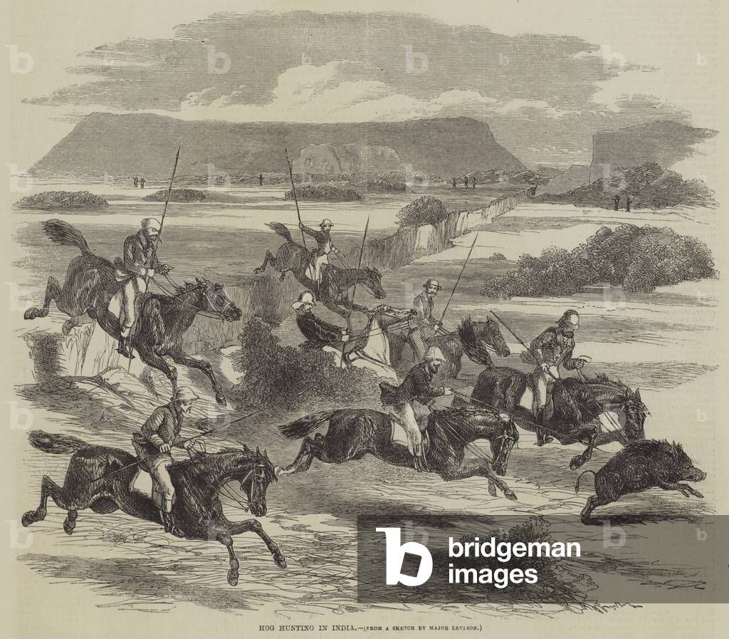 Hog Hunting in India (engraving) by English Artist, b/w