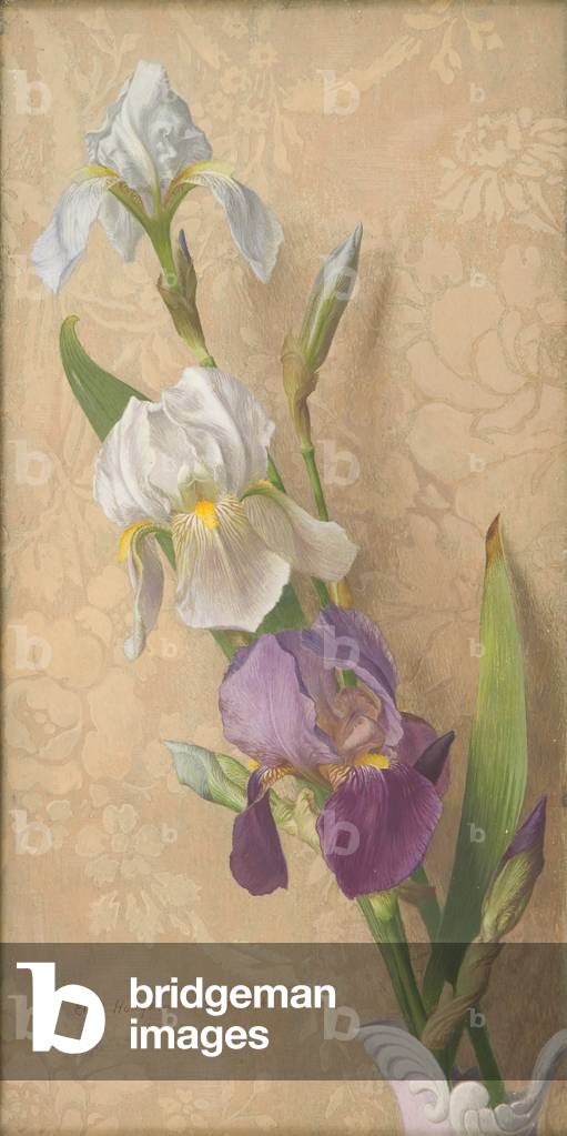 Irises, 1954 (tempera auf gessovorbereitetem Brett)