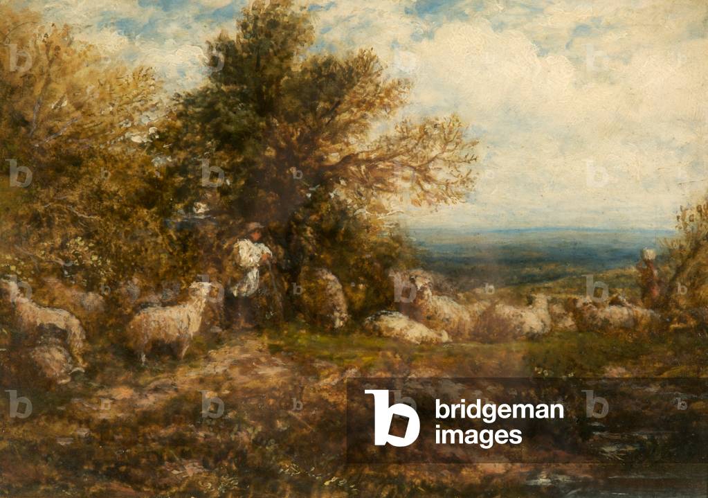 Immagine di Dipinto "pecore a riposo; badando il gregge" di John Linnell