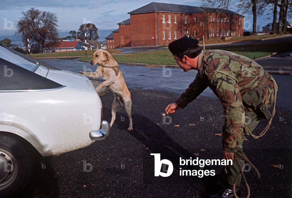 Image of British Army dog handler with his bomb sniffer dog during