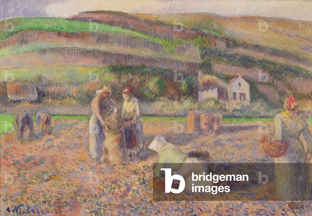 Bild von Gemälde "Die Kartoffelernte" 1886 von Camille Pissarro
