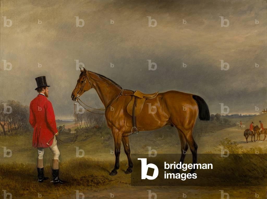 Bild von Gemälde "Porträt von Lord Newport" 1835 von John E. Ferneley