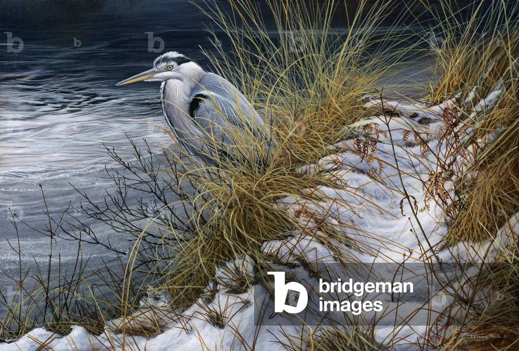 Image de Peinture représentant Winter Heron. 2012 (acrylique sur panneau) 2012 par Jeremy Paul