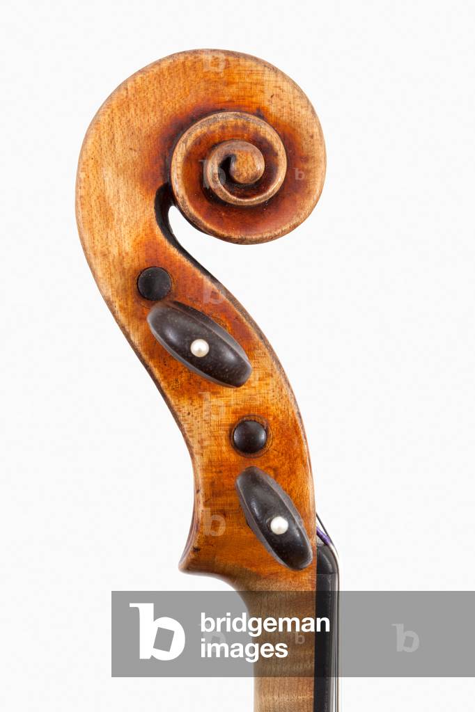 Violin (scroll) by Antonio Stradivari