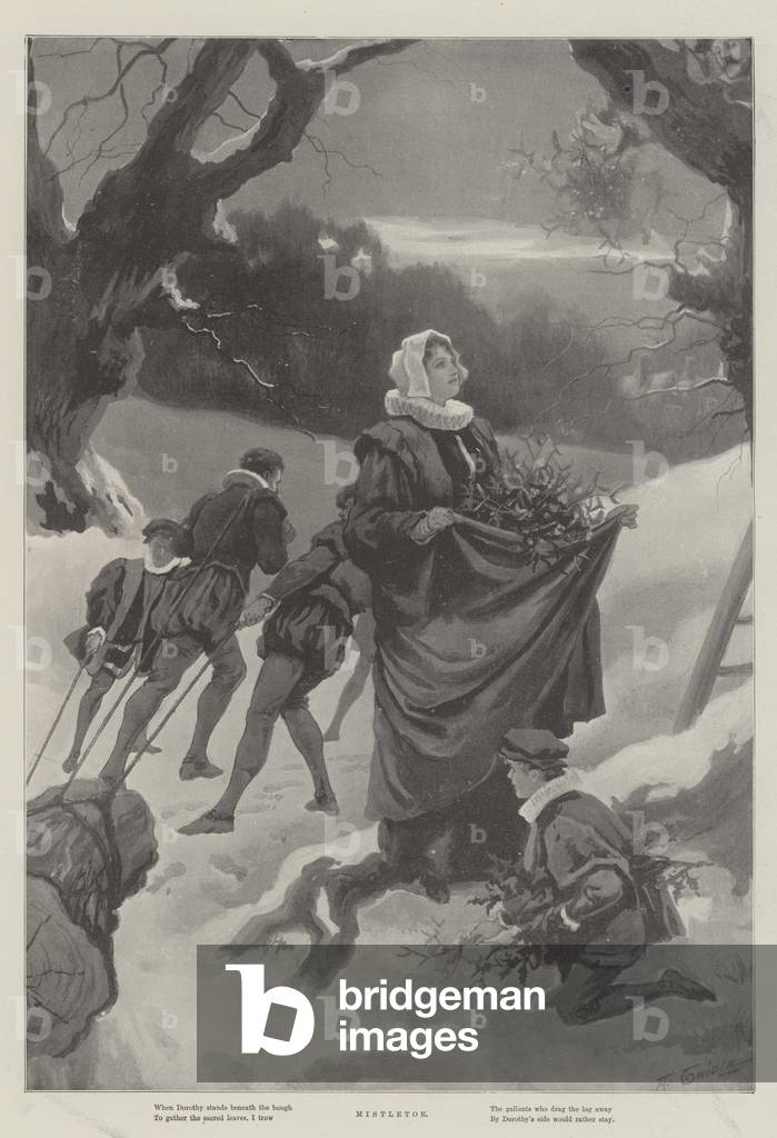 Mistletoe (litho)