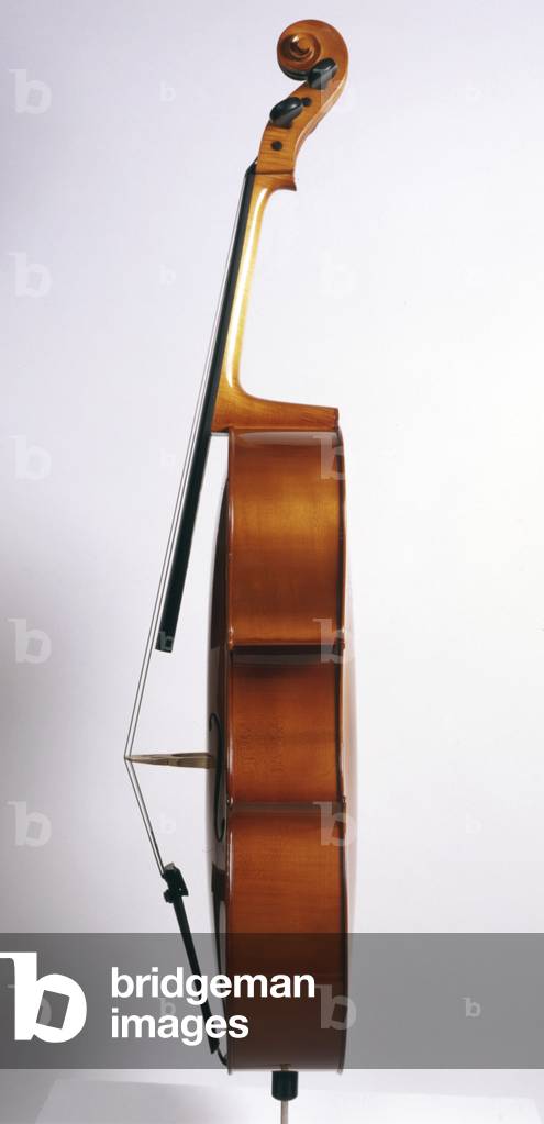 Image de Photographie représentant Violoncelle - vue latérale par Chris Stock