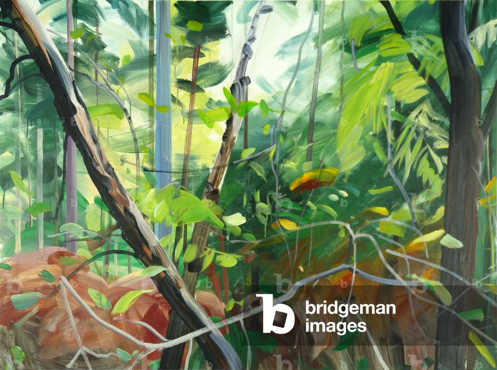 Forêt 10, 2015 (acrilico su tela)