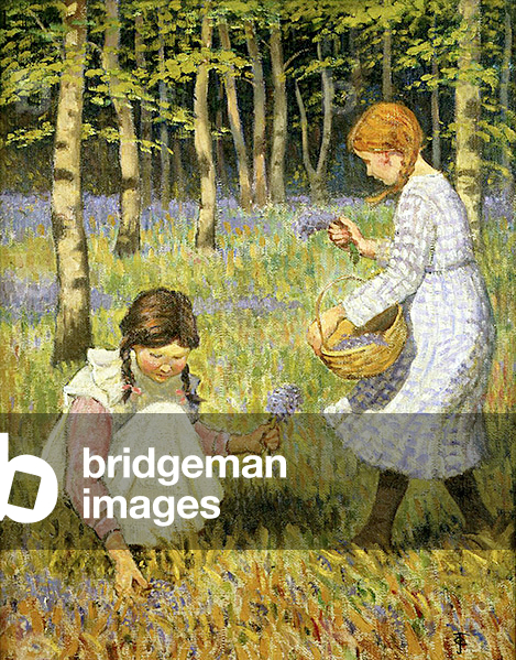 Bild von Gemälde "Picking Bluebells (Öl auf Leinwand)" von Janet Fisher