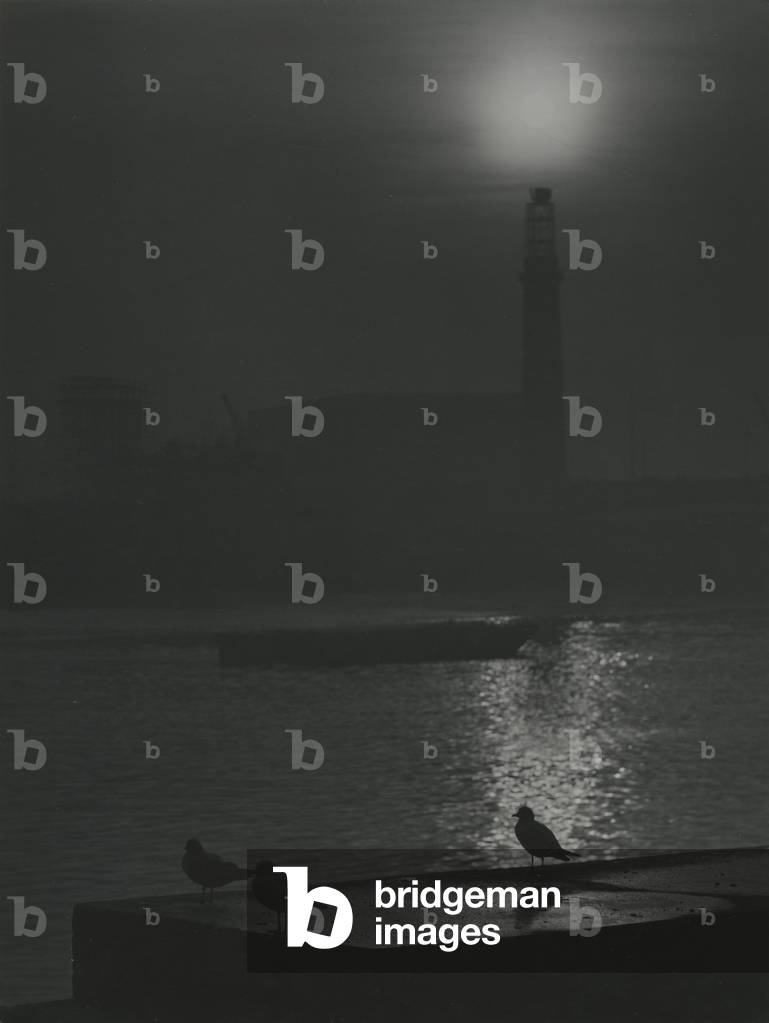 Sagome di gabbiani al tramonto vicino al fiume Tamigi