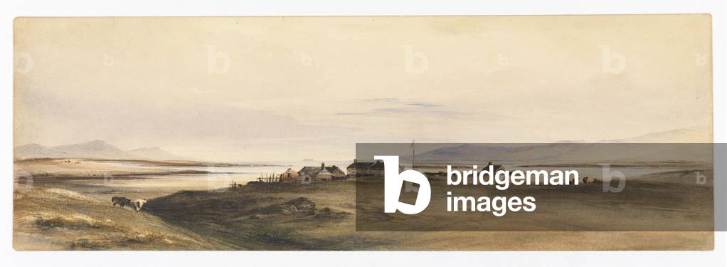 Berkeley Sound, Falkland Islands, c.1878 (watercolour)