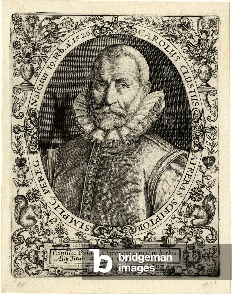 "Carolo Clusio (1529-1609)", b/w